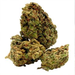 American Blueberry blanco de TeleCogollo CBD by Cannamera
