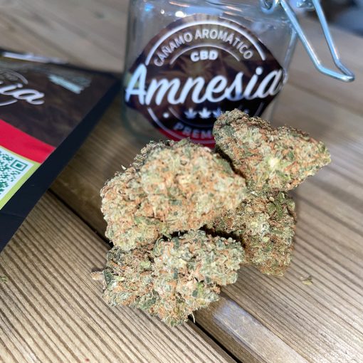 Amnesia TeleCogollo