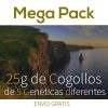 Mega Pack en TeleCogollo CBD by Cannamera